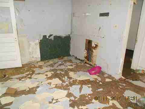 20151 Helen (12)_m.jpg